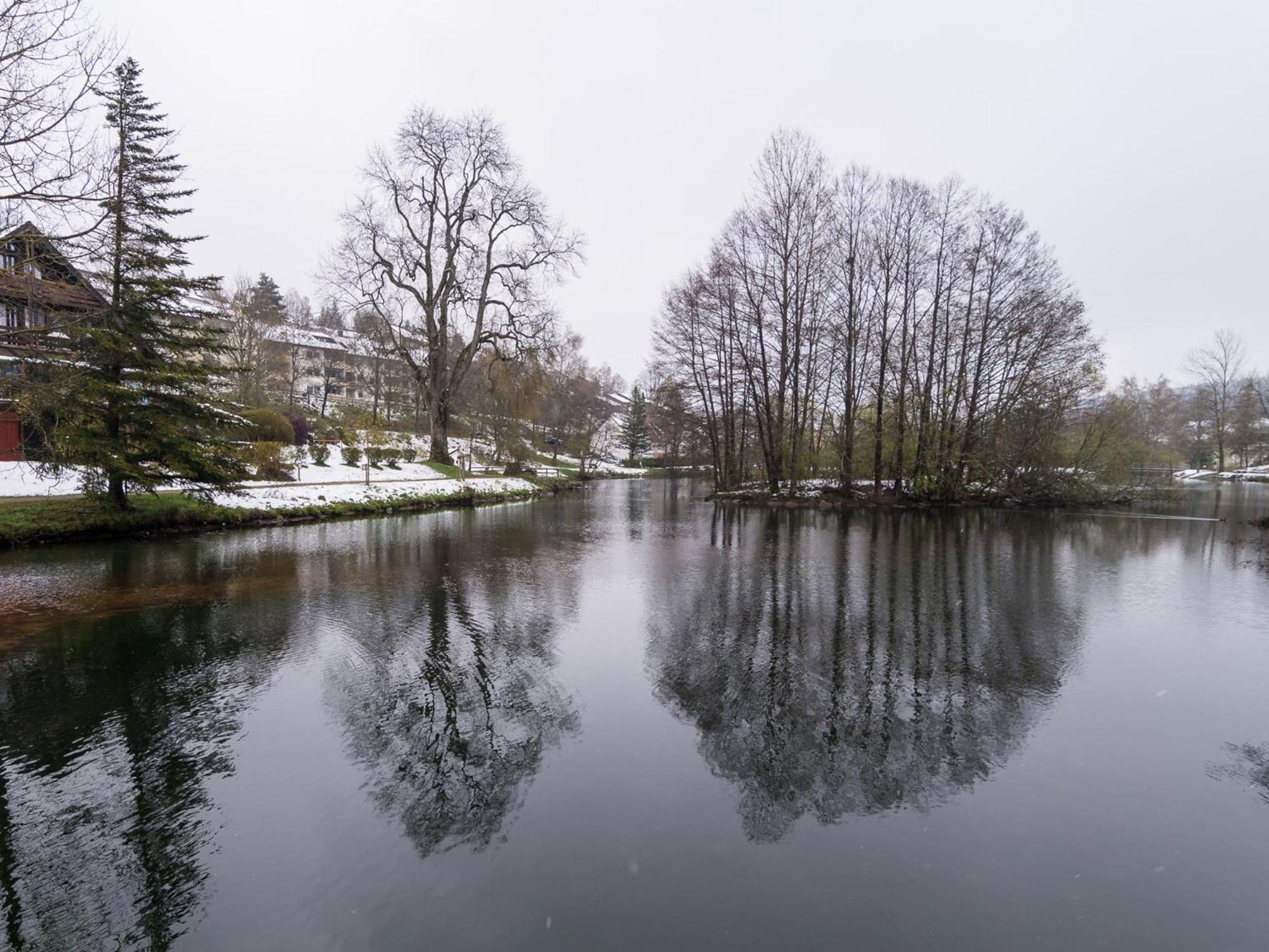 Ferienwohnungen Seeblick Unterkirnach Exteriör bild