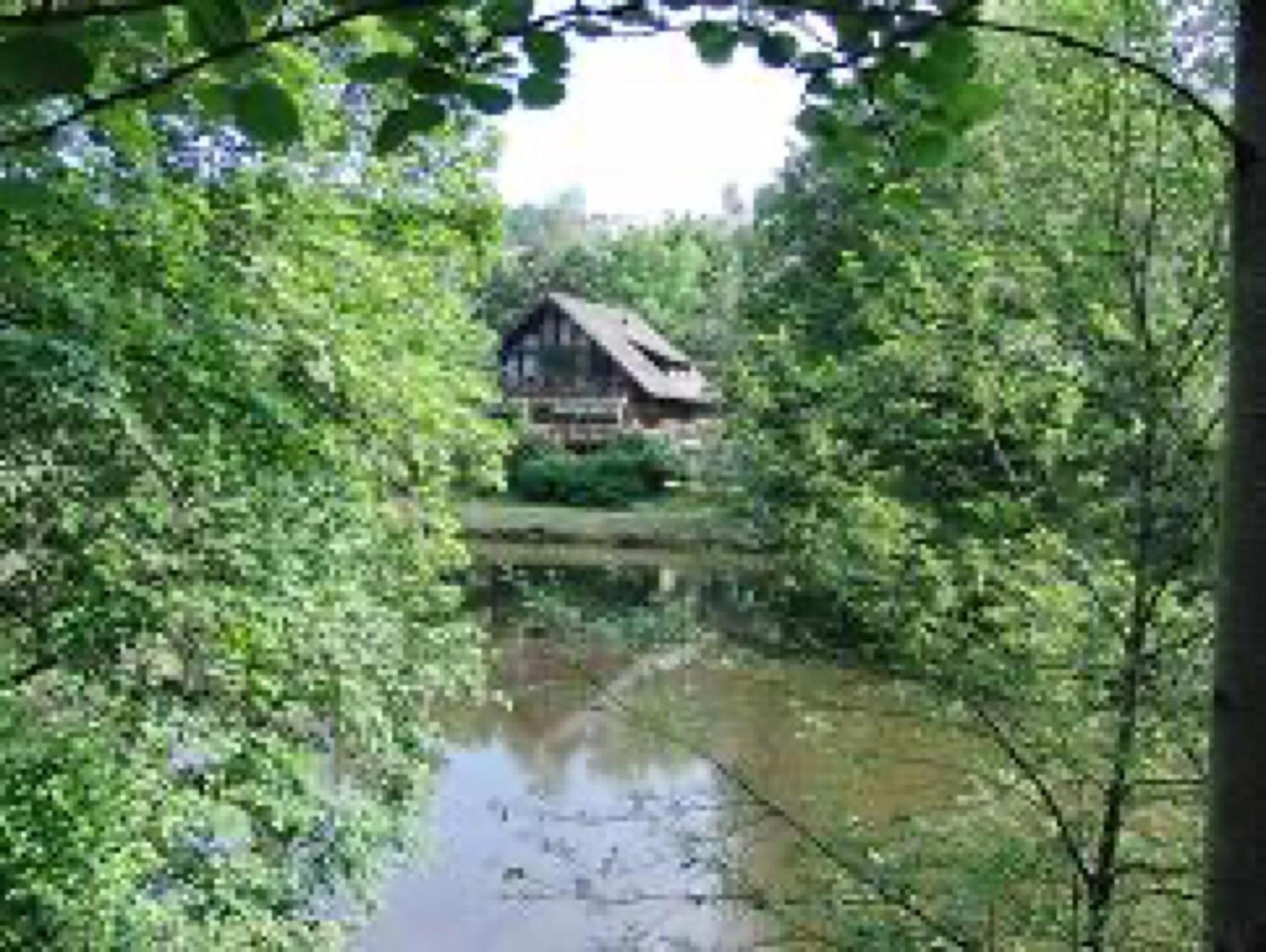 Ferienwohnungen Seeblick Unterkirnach Exteriör bild