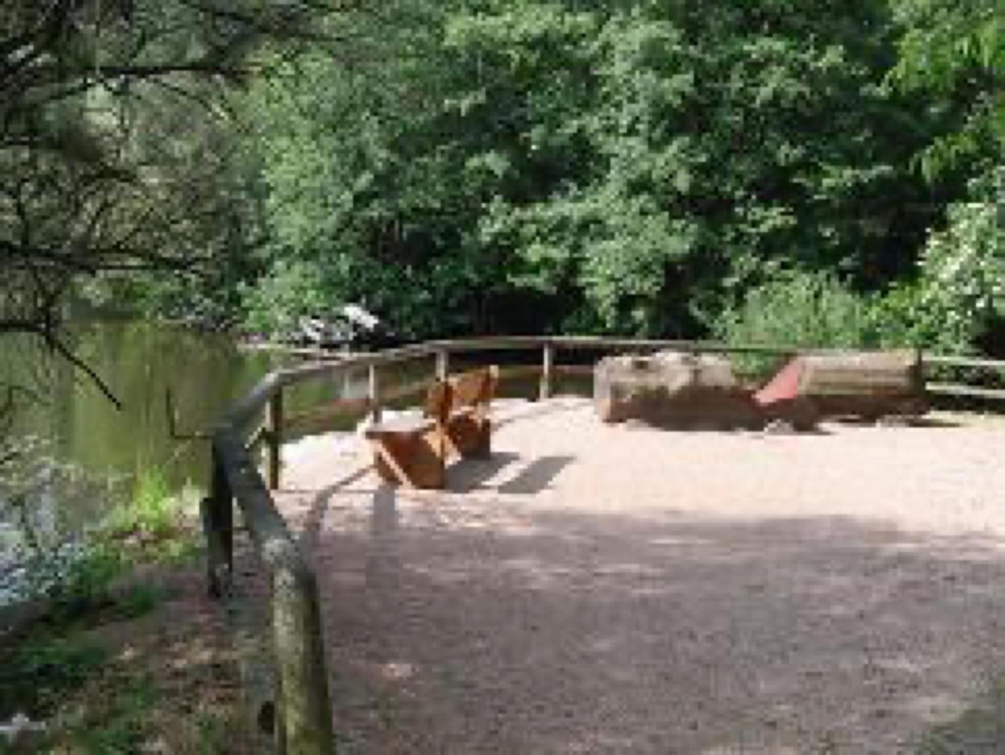 Ferienwohnungen Seeblick Unterkirnach Exteriör bild
